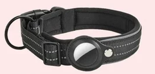 Bluetooth Dog Tracker — clean product shot