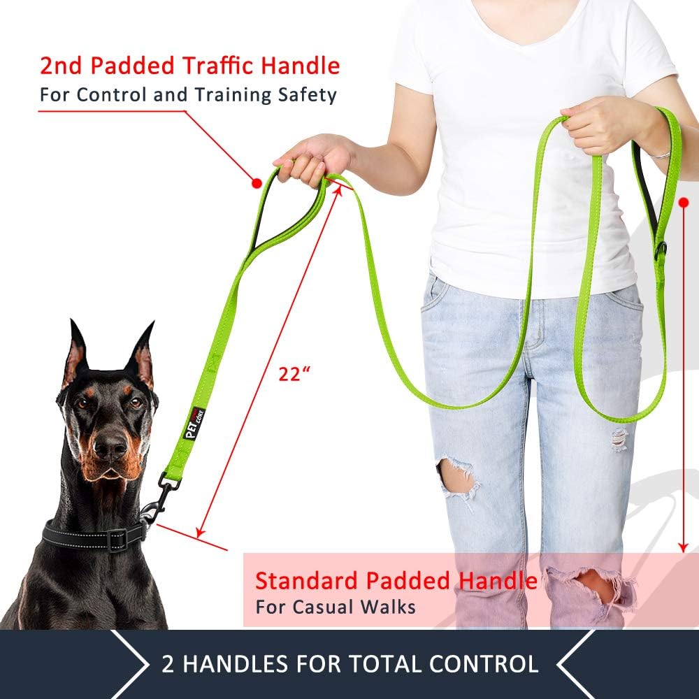 Double Handle Dog Leash 6Ft Long, Padded 2 Handle, Heavy Duty, Reflective Training Leash for Medium Large Dogs, Dual Handle Lead (Green)
