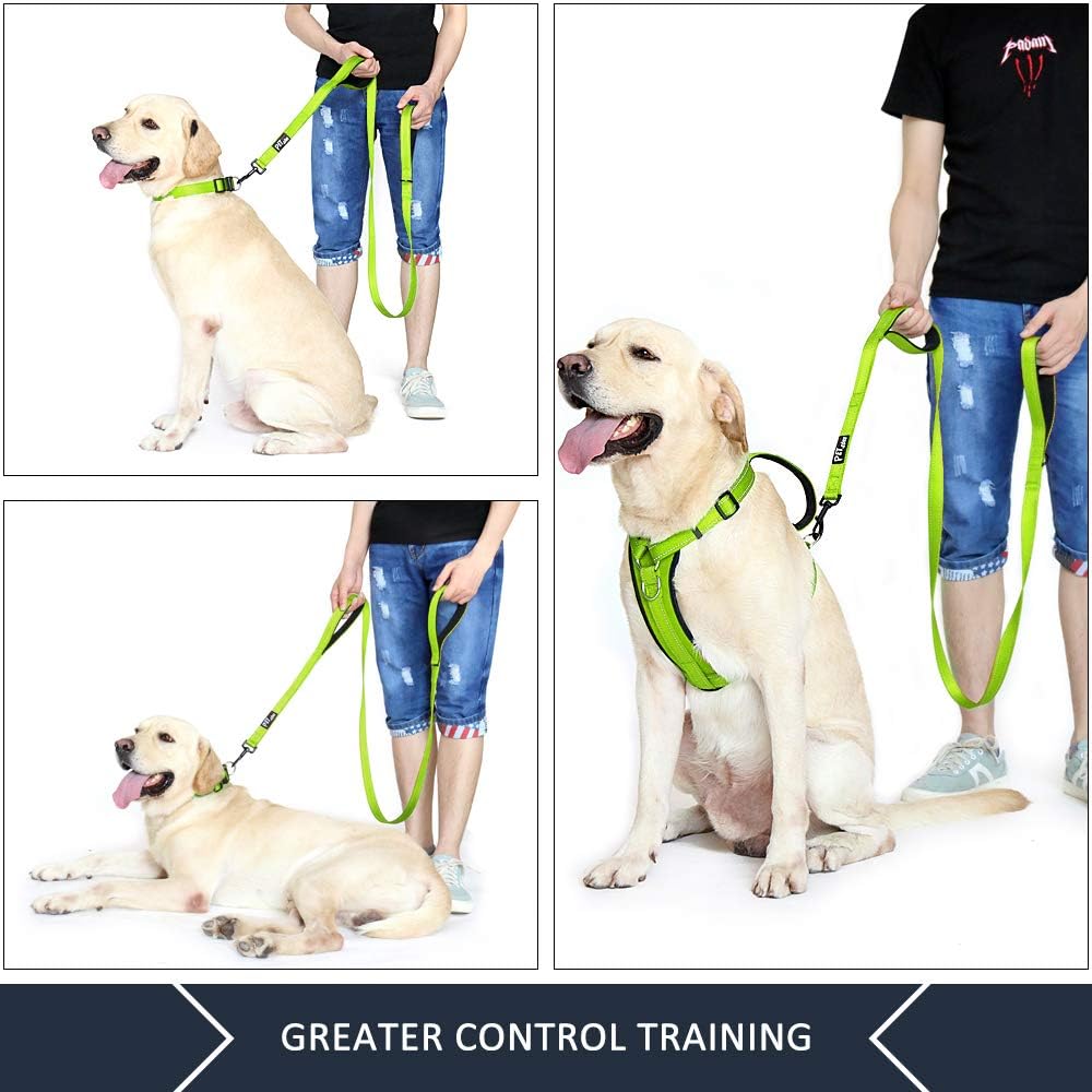Double Handle Dog Leash 6Ft Long, Padded 2 Handle, Heavy Duty, Reflective Training Leash for Medium Large Dogs, Dual Handle Lead (Green)