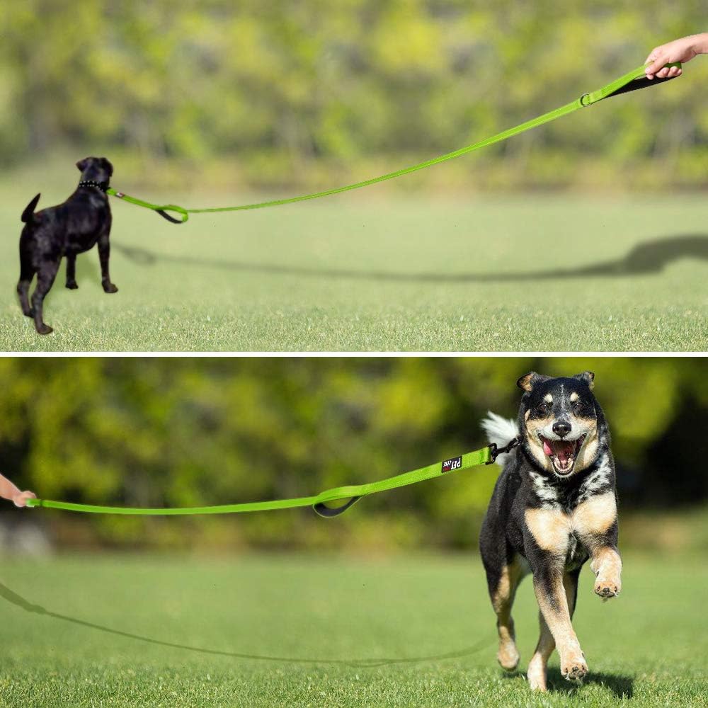 Double Handle Dog Leash 6Ft Long, Padded 2 Handle, Heavy Duty, Reflective Training Leash for Medium Large Dogs, Dual Handle Lead (Green)